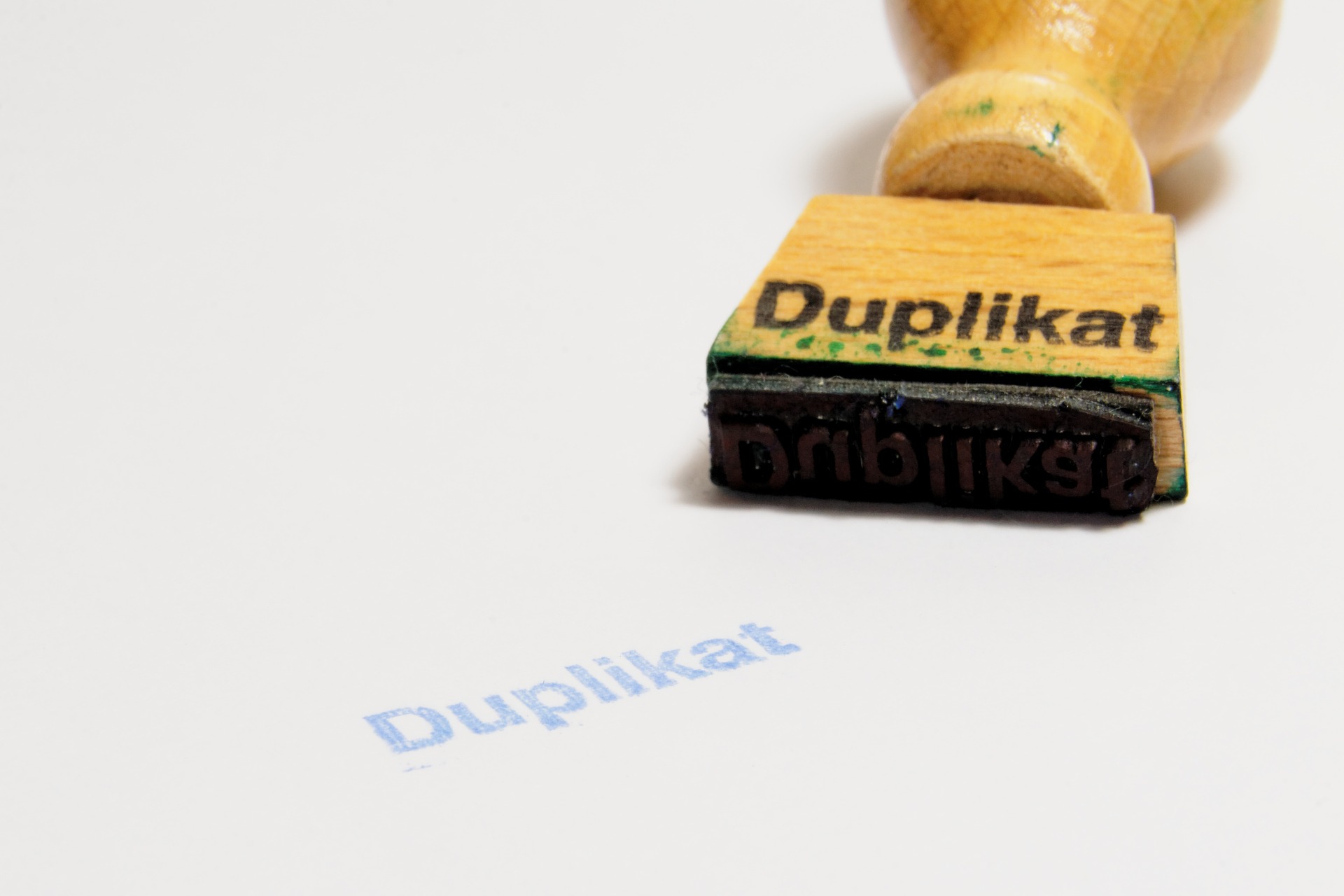 Duplication